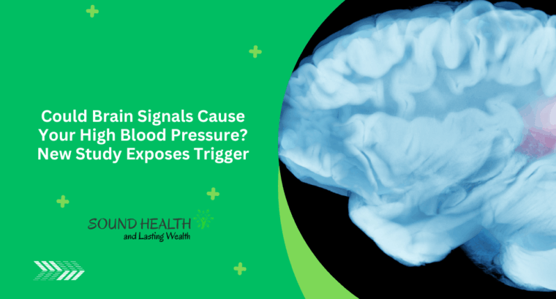 Could Brain Signals Cause Your High Blood Pressure? New Study Exposes Trigger