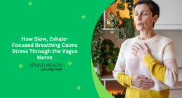 How Slow, Exhale-Focused Breathing Calms Stress Through the Vagus Nerve
